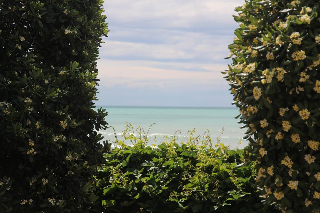All'Etrusconia Hotel Castagneto Carducci Marina di Castagneto Carducci Exterior foto